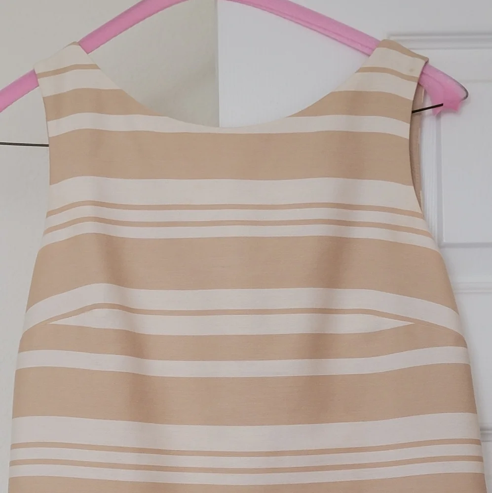 Banana Republic Tan and Cream Striped Boatneck Shift Dress, Size 2 - Picture 2 of 16